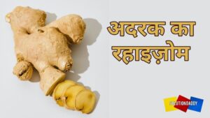 Ginger in Hindi adrak