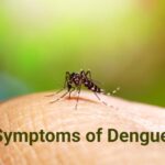 डेंगू के लक्षण, कारण,  पहचान, निदान, वचाव, उपचार, सावधानियां