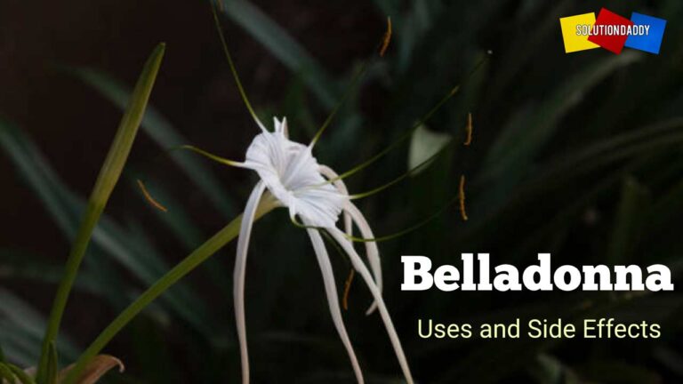 Belladonna 200 Uses in Hindi | जानकारी, लाभ और दुष्प्रभाव.